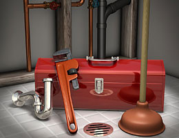 Slide of Mr Plumber