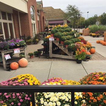 Giant Eagle Market District - Pumpkins and mums - Grocery Near Me - Dublin, Ohio