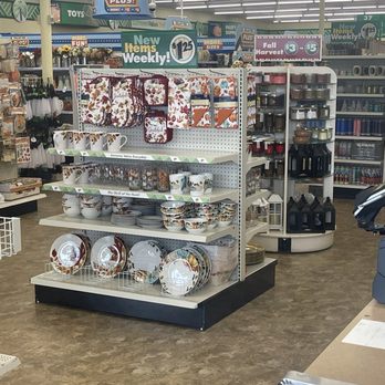 Dollar Tree - Seasonal displays already out and organized. - Discount Store Near Me - Chesapeake, Virginia