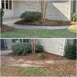 Incredible Lawns and Gardens - A little TLC !