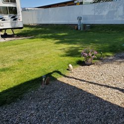 Century Mobile Home and Rv Park