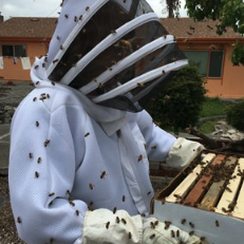 Buzz Off Honey - a man in a bee suit holding a beehive - Honey Near Me - Petaluma, California Buzz Off Honey - a man in a bee suit holding a beehive - Honey Near Me - Petaluma, California