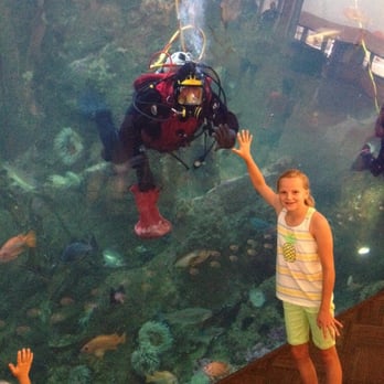 Seattle Aquarium - Scuba diver during feeding time. - Aquariums Near Me - Seattle, Washington Seattle Aquarium - Scuba diver during feeding time. - Aquariums Near Me - Seattle, Washington
