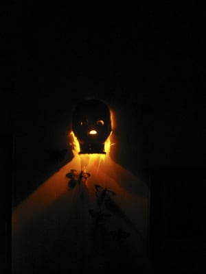 ELEMENTAL LED - Updated July 2026 - 14 Reviews - 885 Trademark Dr, Reno ...