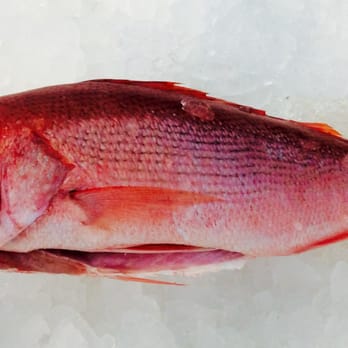 Blue Ocean Market - Snapper - Seafood Markets Near Me - Morehead City, North Carolina Blue Ocean Market - Snapper - Seafood Markets Near Me - Morehead City, North Carolina