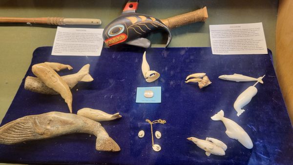 The Whale Museum by null