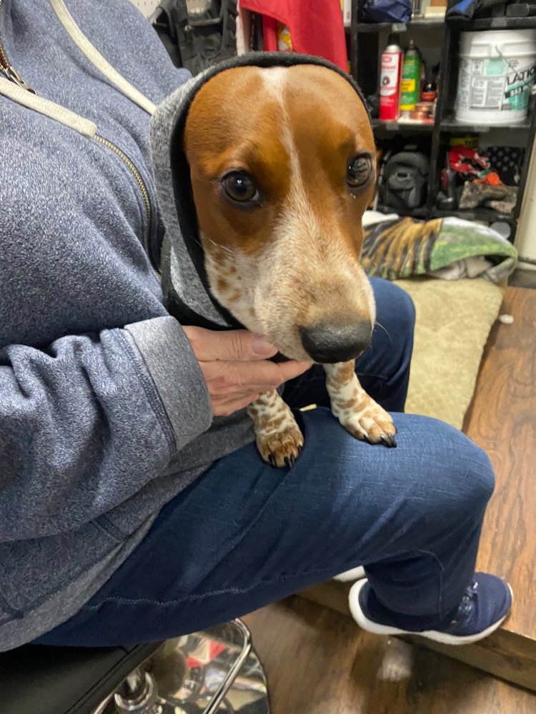 SANTA FE VETERINARY CLINIC Updated October 2024 18 Reviews 840 NW 164th St, Edmond