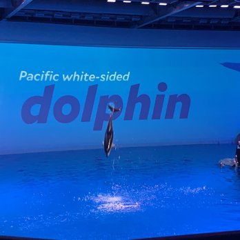 Shedd Aquarium - Aquariums Near Me - Chicago, Illinois