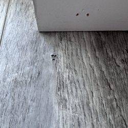 R-n-R Flooring & Design
