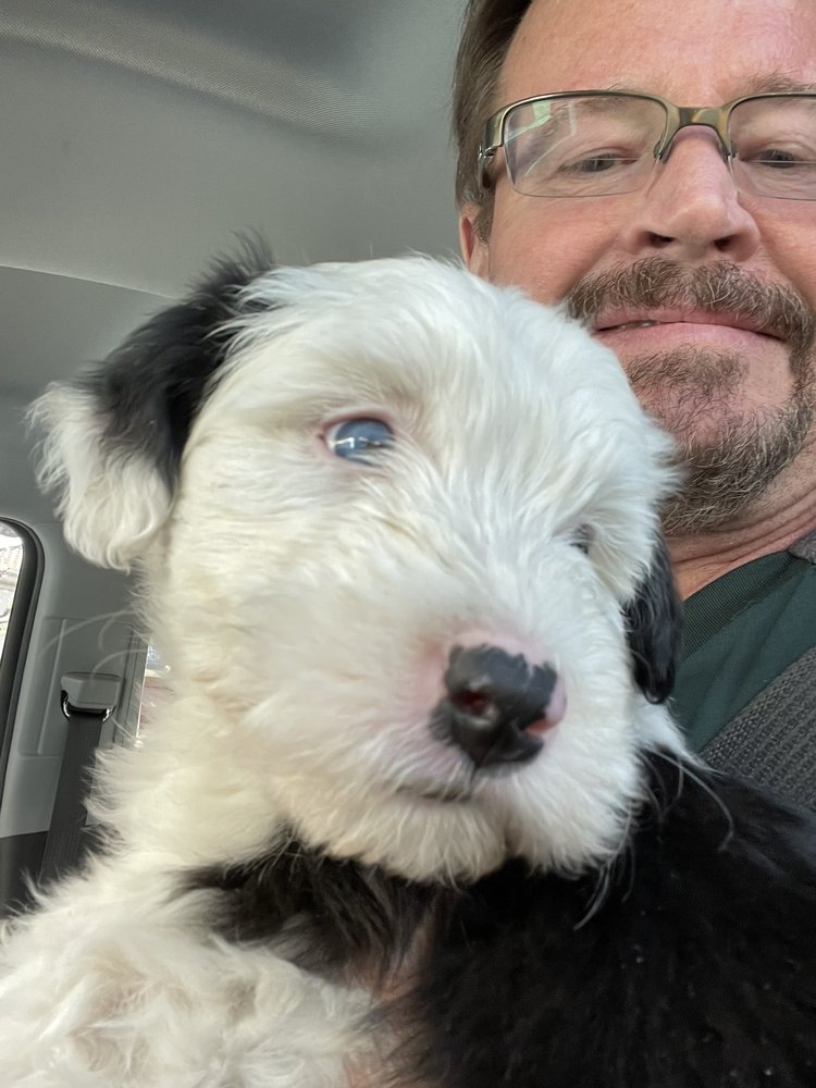 CANINEKIDZ Updated September 2024 11 Photos Tulare, California