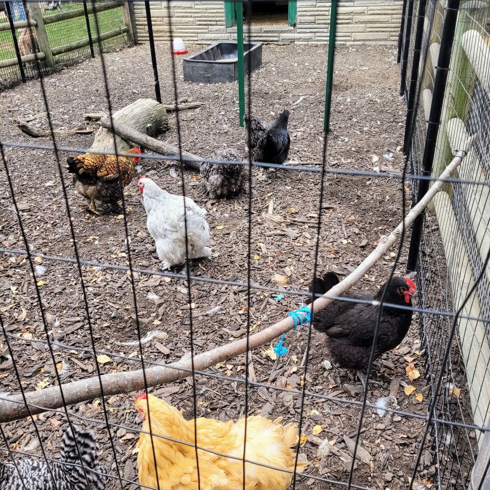 Grant's Farm - Attraction Farms Near Me - St. Louis, Missouri