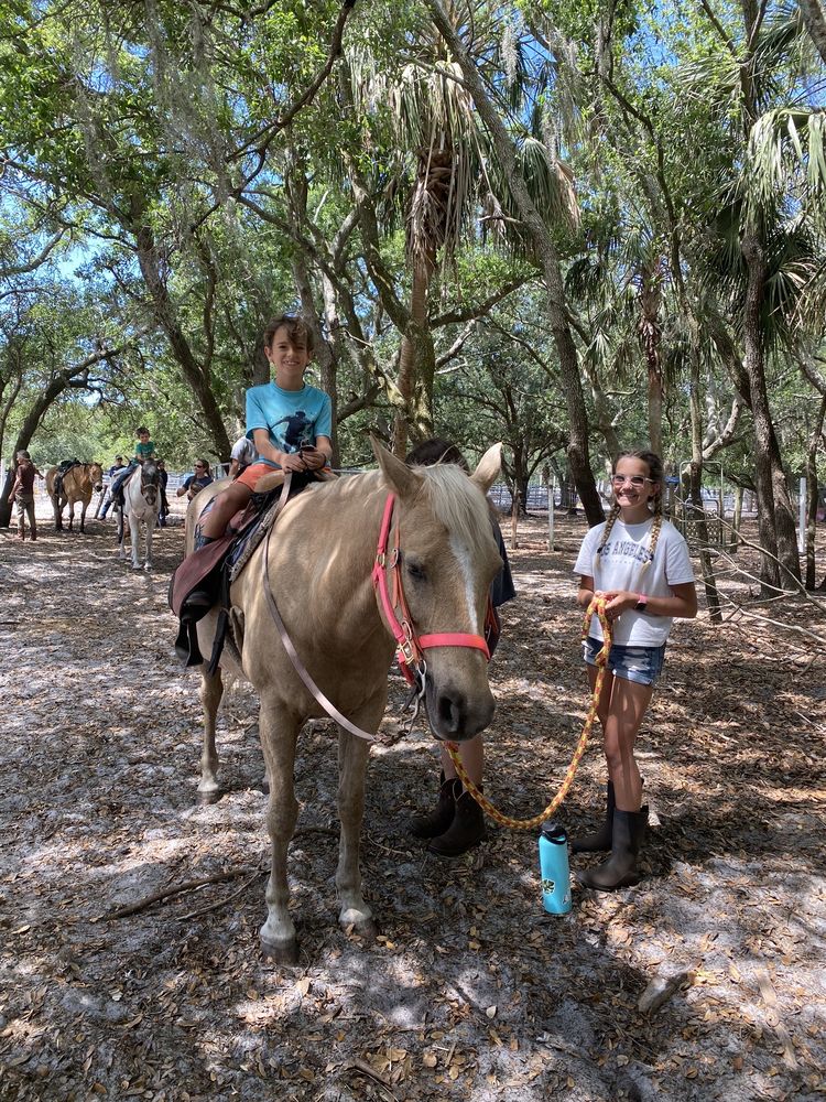 Sun City Stables - equestrian in Sun City, FL