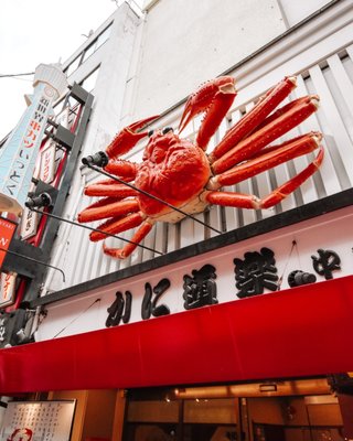 Dotonbori by null