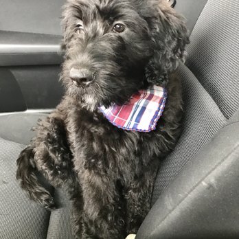 Tom's Pet Outlet - Pet Stores Near Me - Norristown, Pennsylvania