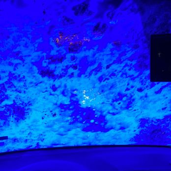 Quick Quack Car Wash - black light makes everything look like a disco - Car Wash Near Me - Fairfield, California Quick Quack Car Wash - black light makes everything look like a disco - Car Wash Near Me - Fairfield, California