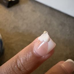 the nails i paid $71 for the nails i paid $71 for