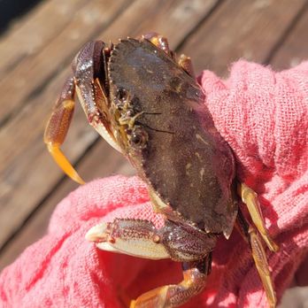 MOTEL 6 - Updated June 2025 - 59 Photos & 97 Reviews - 1801 Embarcadero