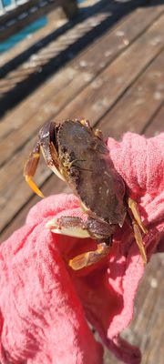 MOTEL 6 - Updated May 2025 - 59 Photos & 97 Reviews - 1801 Embarcadero