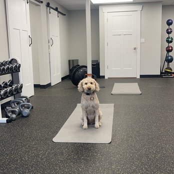 Lodestar Physical Therapy - The best physical therapist's assistant I've ever met - Physical Therapy Near Me - Murray, Utah Lodestar Physical Therapy - The best physical therapist's assistant I've ever met - Physical Therapy Near Me - Murray, Utah