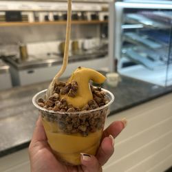 Dandy's Artisan Ice Cream - VEGAN Pumpkin spice soft serve with candied pecans