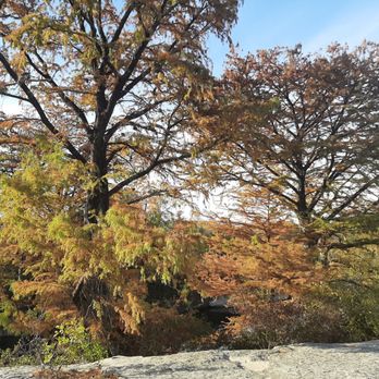 McKinney Falls State Park - Autumn color - Parks Near Me - Austin, Texas McKinney Falls State Park - Autumn color - Parks Near Me - Austin, Texas