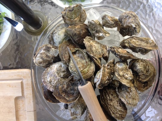 Headley James E Oyster Company