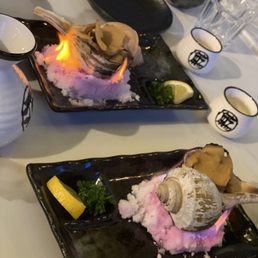 Snail on fire Snail on fire
