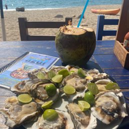 Dozen Large Oysters