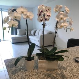 Flowers