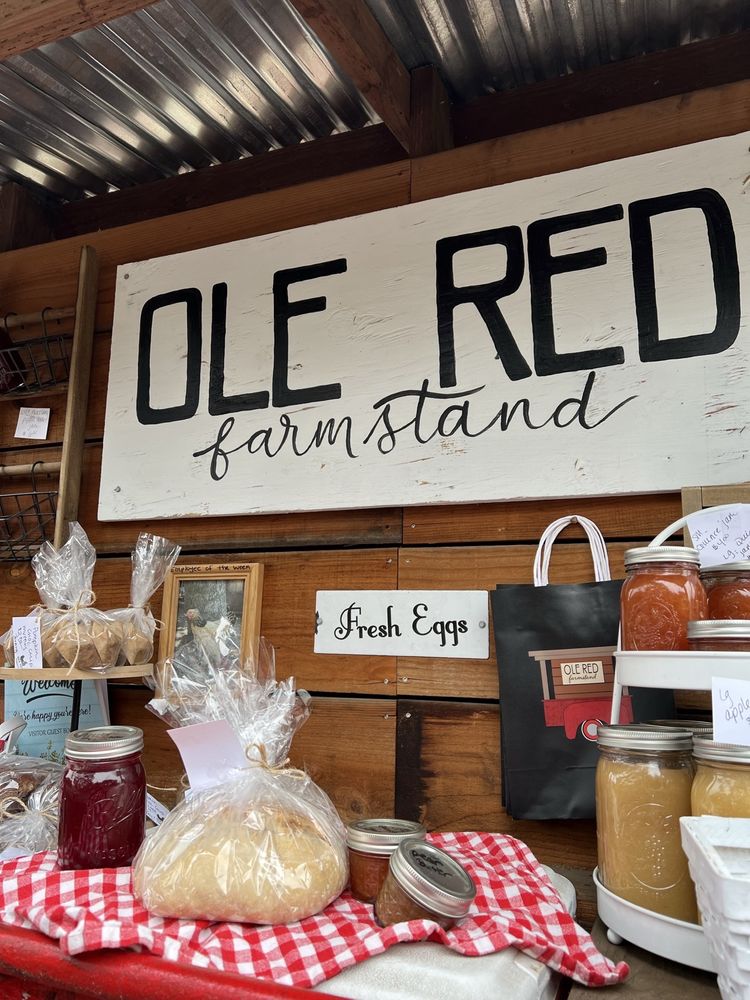 Ole Red Farmstand Logo