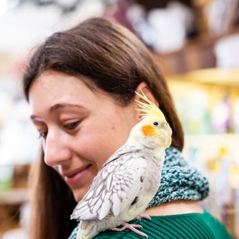 stones pet shop grooming