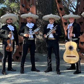 Mariachi Estelar - Wedding in Morgan Hill. Mariachi Estelar with sombreros - Musicians Near Me Mariachi Estelar - Wedding in Morgan Hill. Mariachi Estelar with sombreros - Musicians Near Me