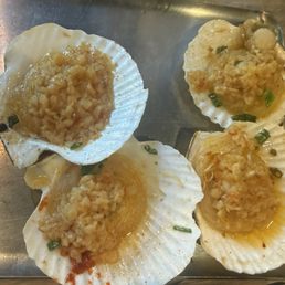 Scallop
