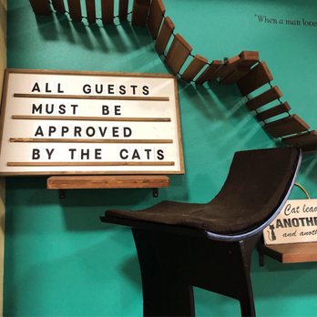 Orlando Cat Cafe - Animal Shelters Near Me - Clermont, Florida Orlando Cat Cafe - Animal Shelters Near Me - Clermont, Florida