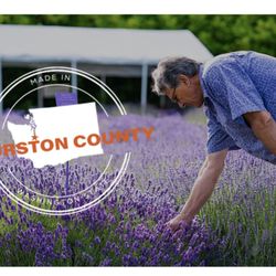 Evergreen Valley Lavender Farm - We are honored to have been selected as 1 of the Top 15 Things to do/see in Thurston County for the past 7 years. Come see why.