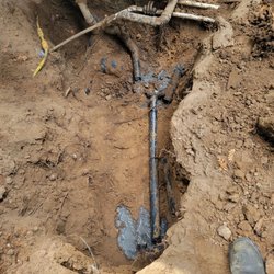 Dominick’s Plumbing Service