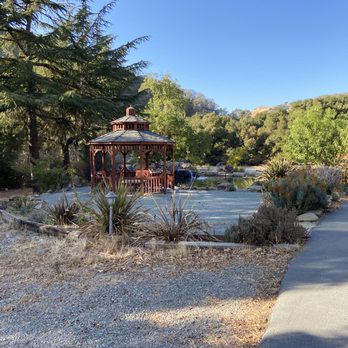 Elliston Vineyards - View - Wineries Near Me - Sunol, California