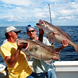 Sea Leveler Sport Fishing Charters - Groupers all around! These bad boys were caught while deep sea fishing near Cocoa Beach on the Sea Leveler