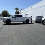 Photo of Animal Pest Management Services