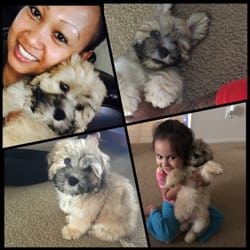 Brandon Veterinary Clinic - Thank you for taking care of Gastone!