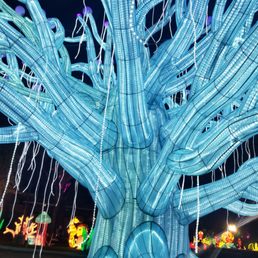 Bodhi tree