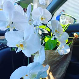 Pretty and pure a gift for a friend