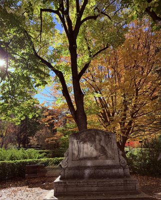 Real Jardín Botánico by null