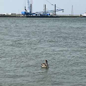 Roberts Point Park - Pelican - Parks Near Me - Port Aransas, Texas Roberts Point Park - Pelican - Parks Near Me - Port Aransas, Texas