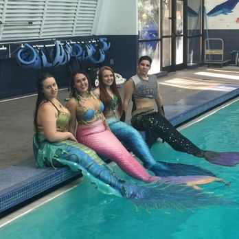 Bellevue Aquatic Center - Swimming Pools Near Me - Bellevue, Washington