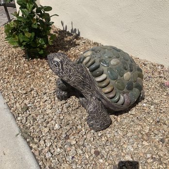 Sun Valley Nursery - Big stone turtle - Nurseries & Gardening Near Me - Scottsdale, Arizona