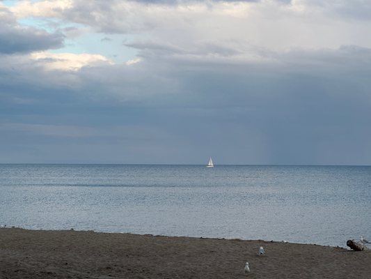 Rouge National Urban Park by null