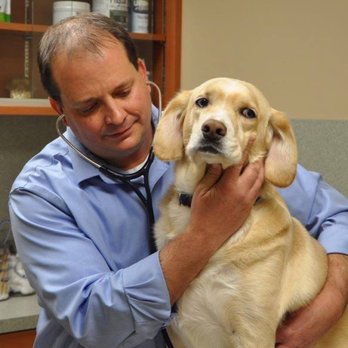 Oakside Animal Clinic - Veterinarians Near Me - Delaware, Ohio Oakside Animal Clinic - Veterinarians Near Me - Delaware, Ohio