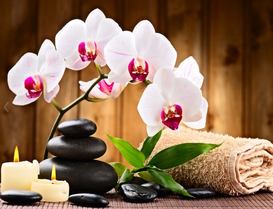 Massage Relife 1101 Logo