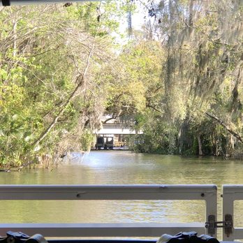 Premier Boat Tours - The view from the boat looking down the Dora Canal. - Boat Tours Near Me - Mount Dora, Florida